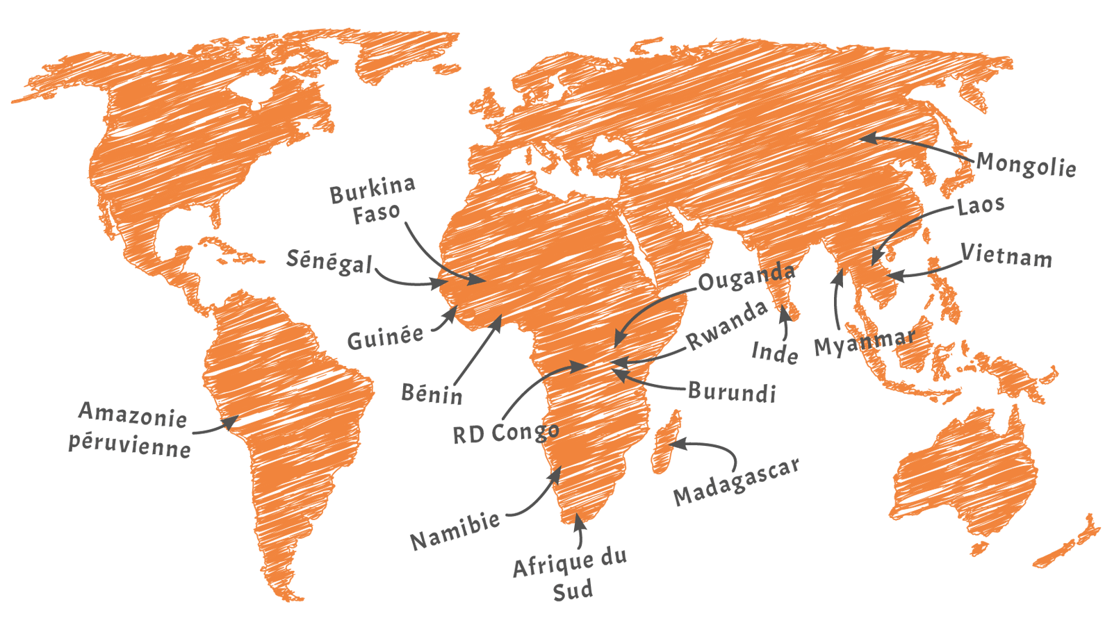 ECCA : Nos pays d’intervention